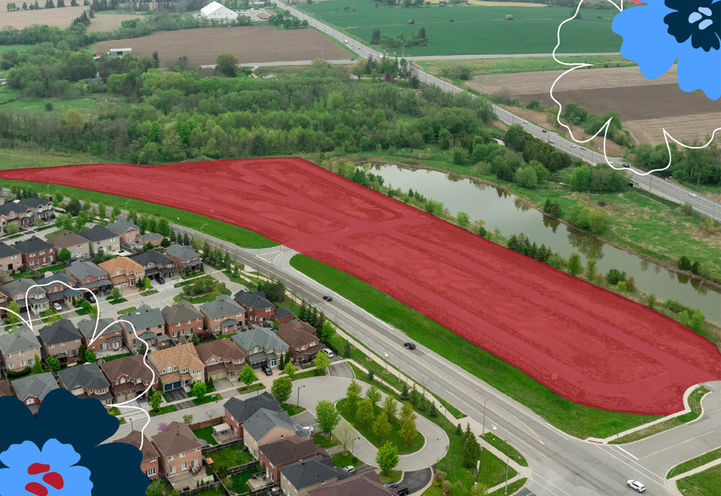 Townhomes of Little Rouge located at Donald Cousens Parkway & Ninth Line image